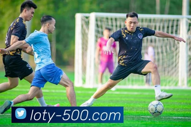 500彩票网服务体系